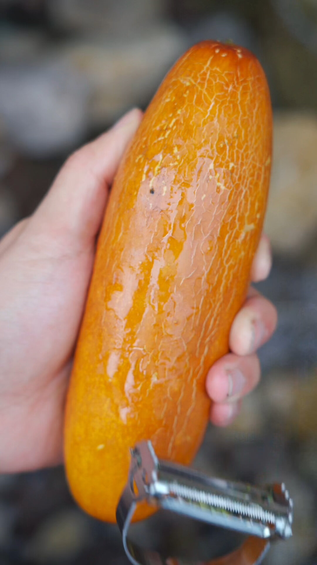 山里的黄瓜熟了,削两根回去做面吃,味道相当