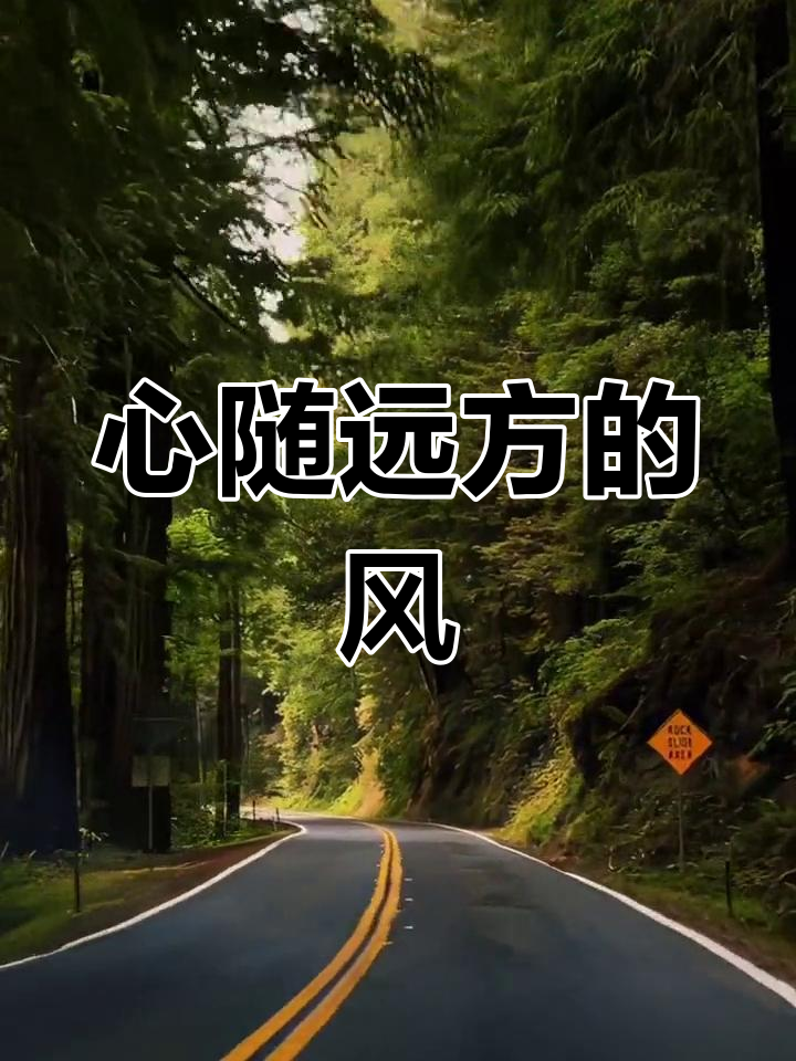 少年心向远方,治愈系风景陪伴成长