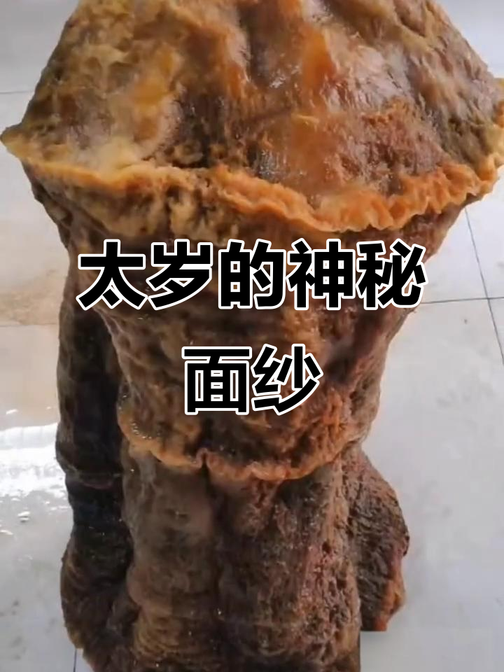 在这个时代,亲眼见过太岁的人不多,看看视频吧!