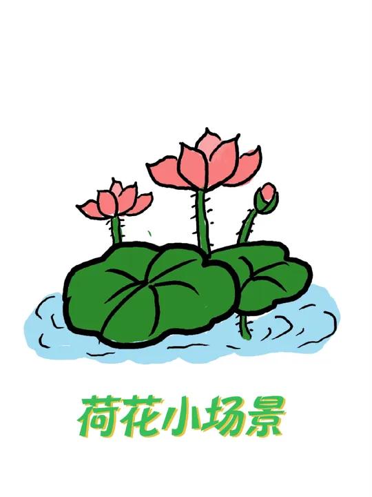 荷花小场景这么画?简笔画 一起学画画 荷花简笔画