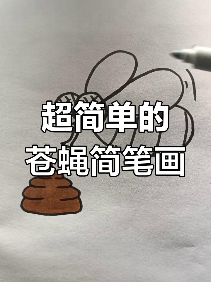 轻松学画可爱苍蝇,超简单步骤教你搞定