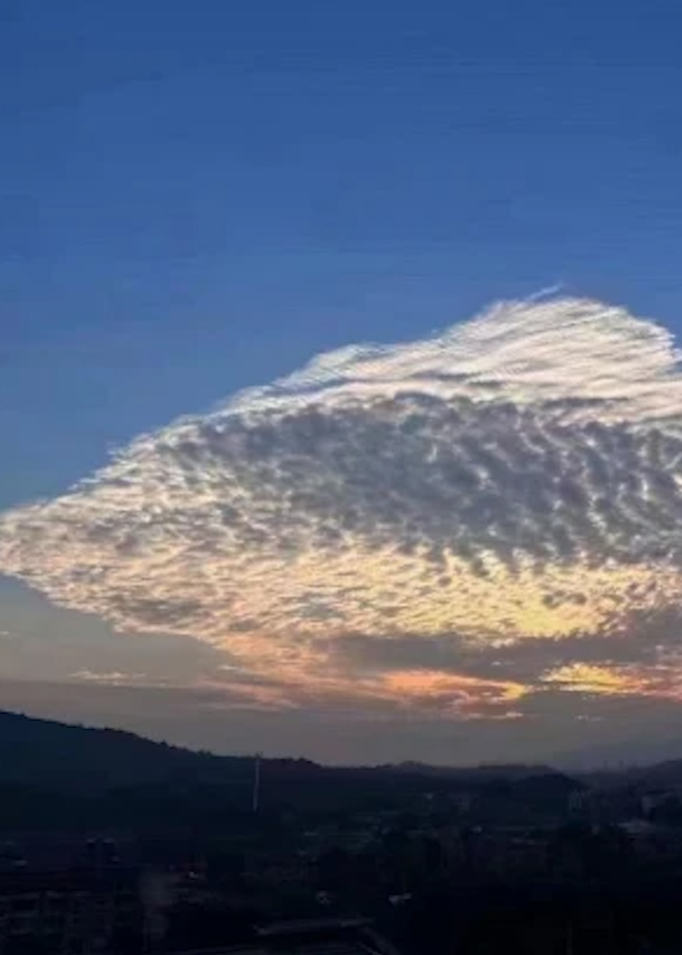 浙江出现一片超大鱼状云朵,化身"锦鲤"送祝福