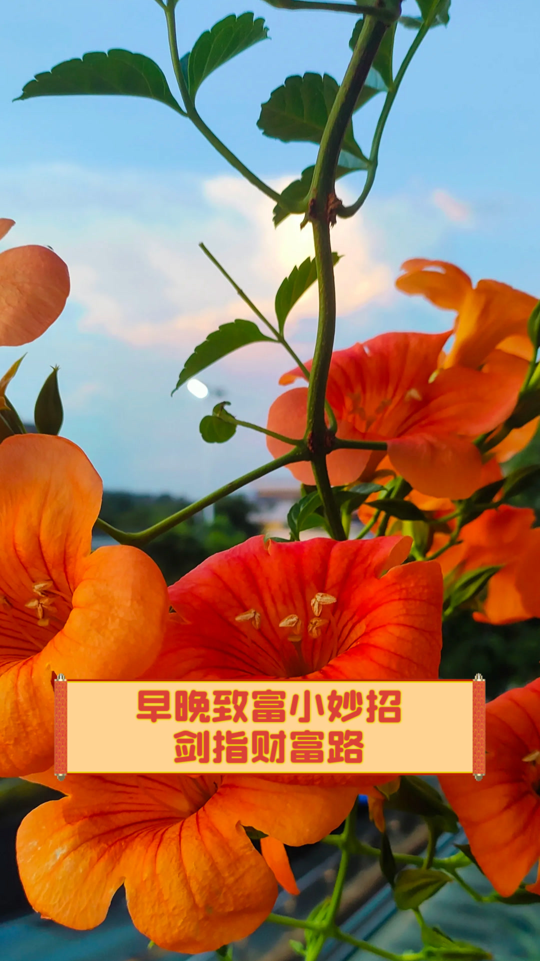 致富小技巧(致富方法有哪些)