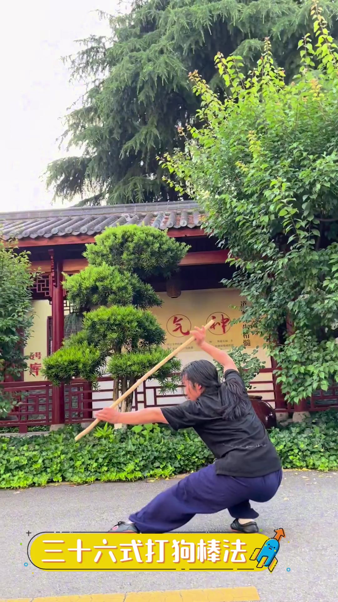 三十六式打狗棒法