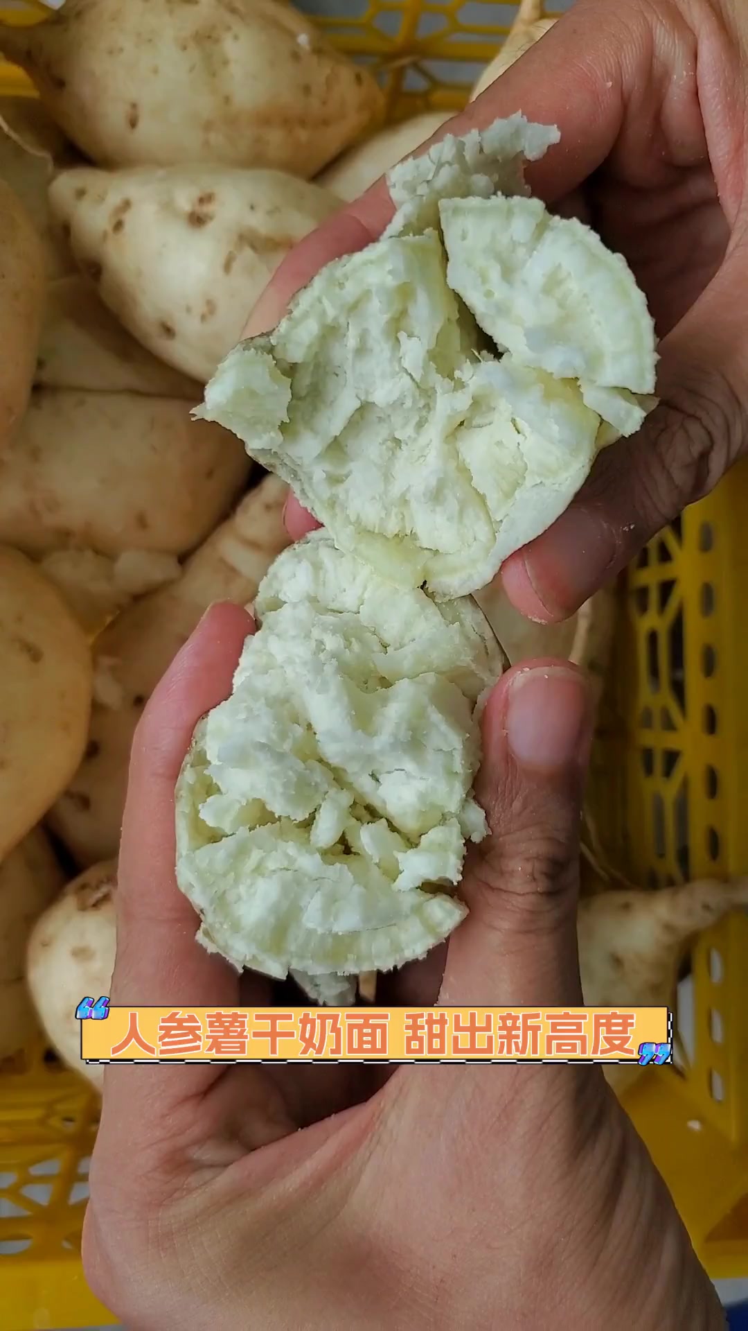 面薯的功效与作用图片图片