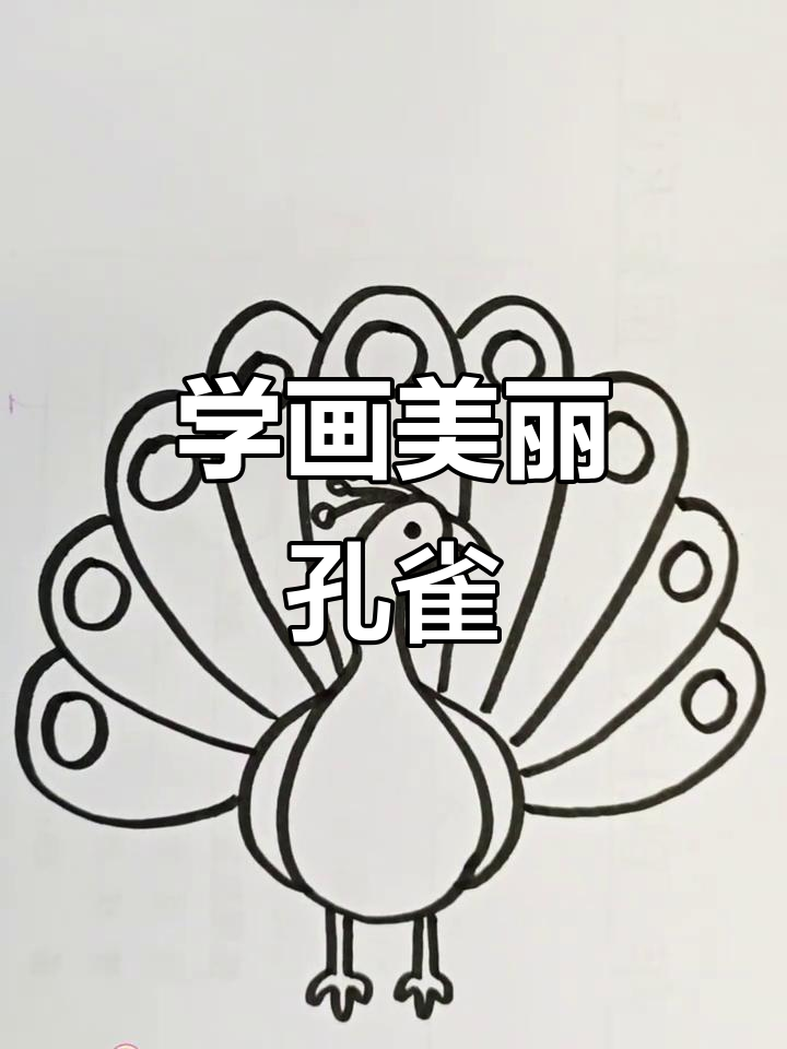 简单步骤教你画孔雀,快来一起动手试试!