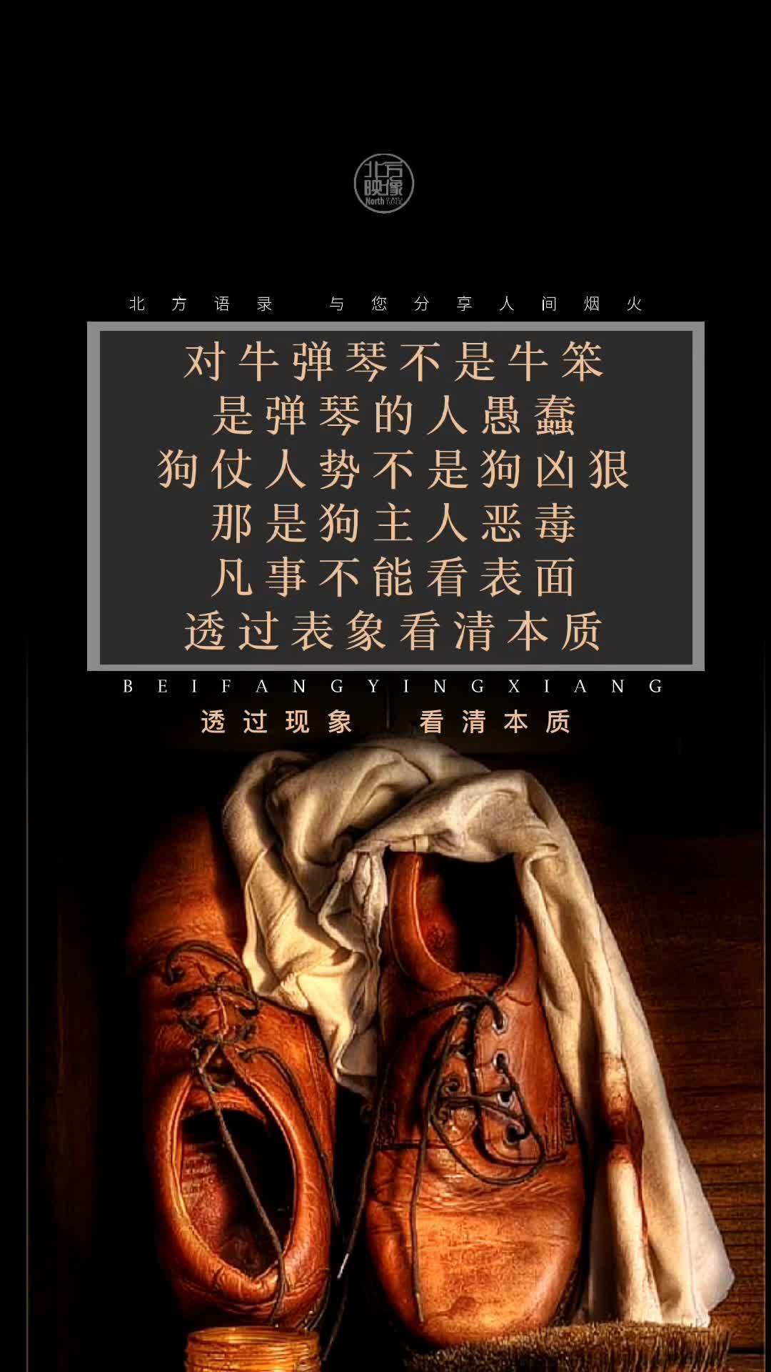 透过现象,看清本质 语录 人性 社会百态 认知 现实