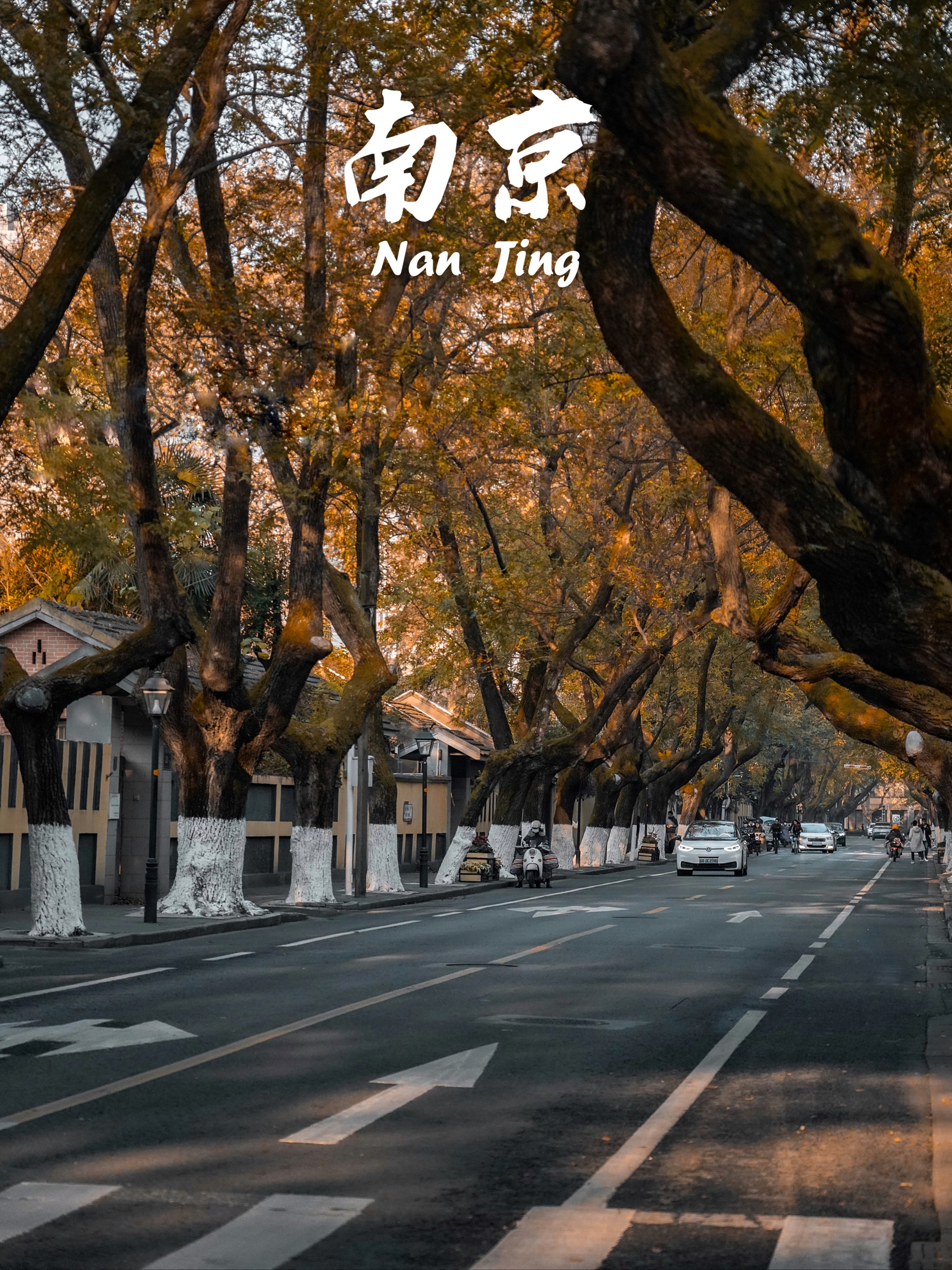 南京美景