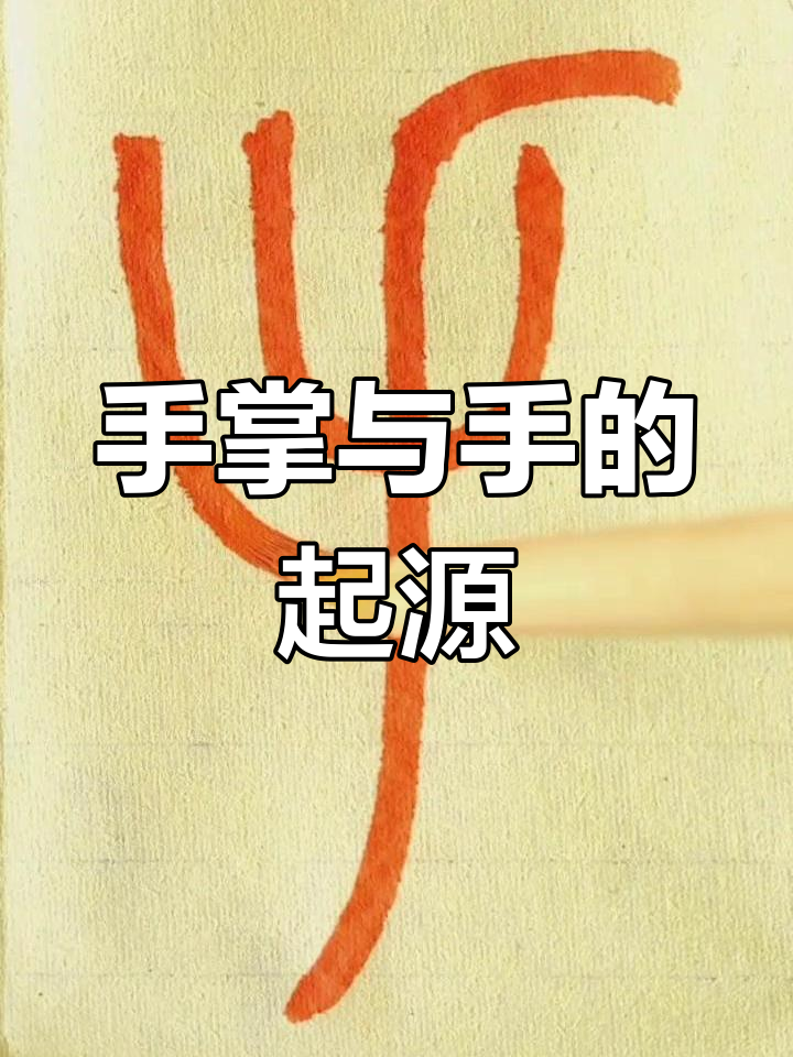 手掌的演变:从五指到"手"字