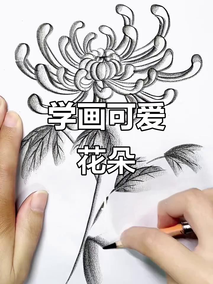 零基础学画花朵,简单又有趣