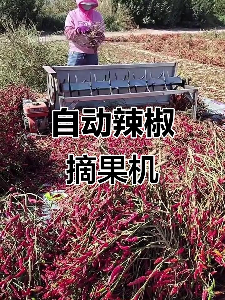 辣椒采摘机:电动与汽油机型,轻松搞定四到五亩地