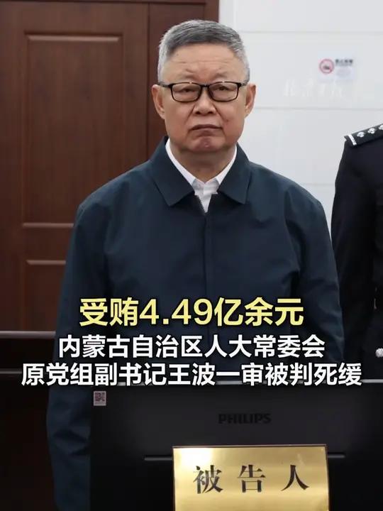 49亿余元 内蒙古自治区人大常委会原党组副书记王波一审被判死缓」