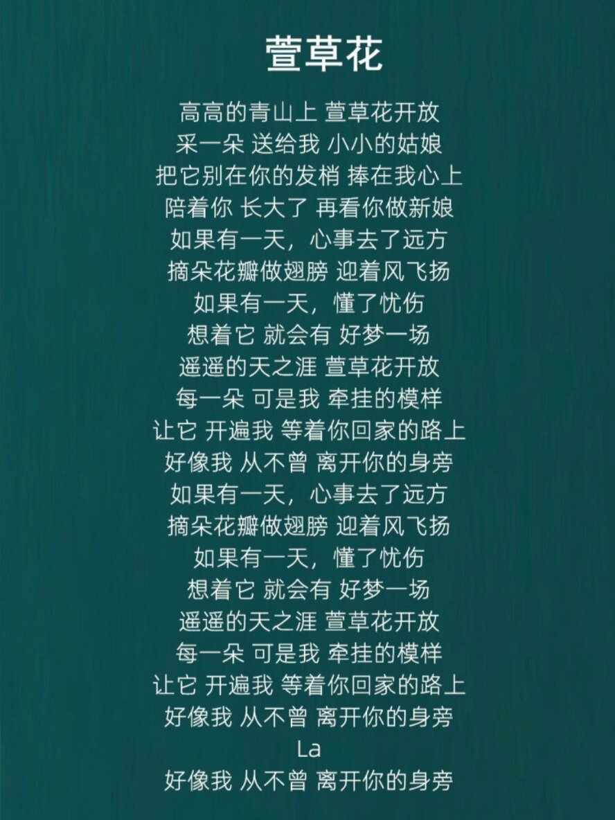 萱草花歌曲原唱歌词图片