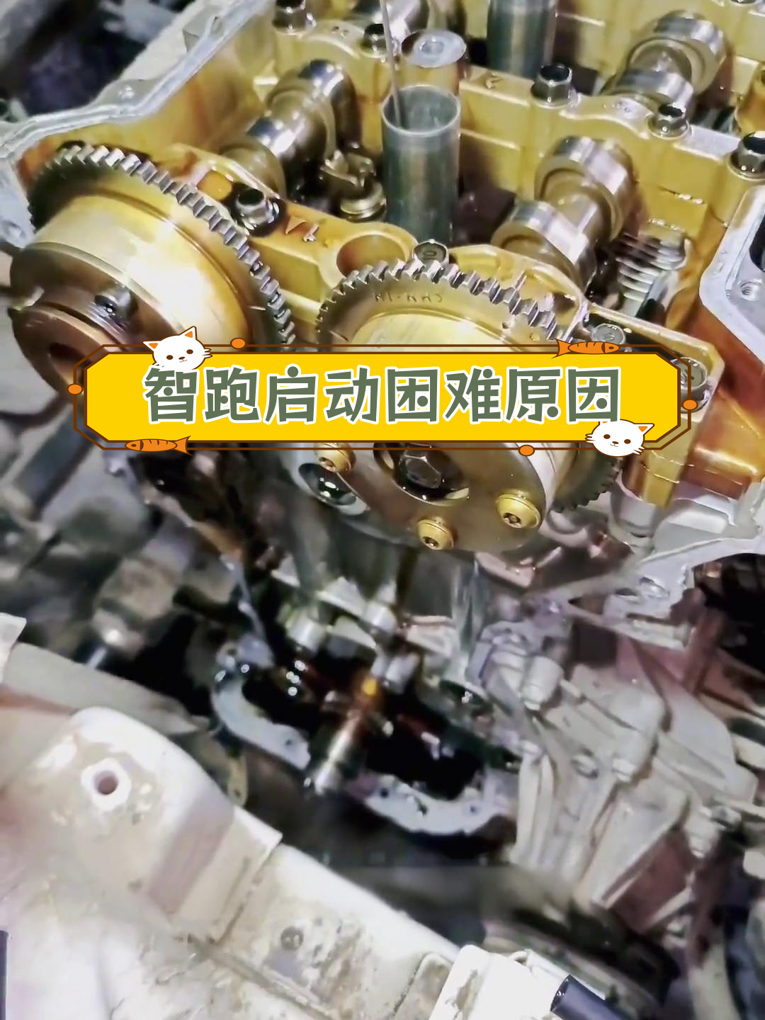 起亚智跑停一晚打不着,正时链条问题引发故障
