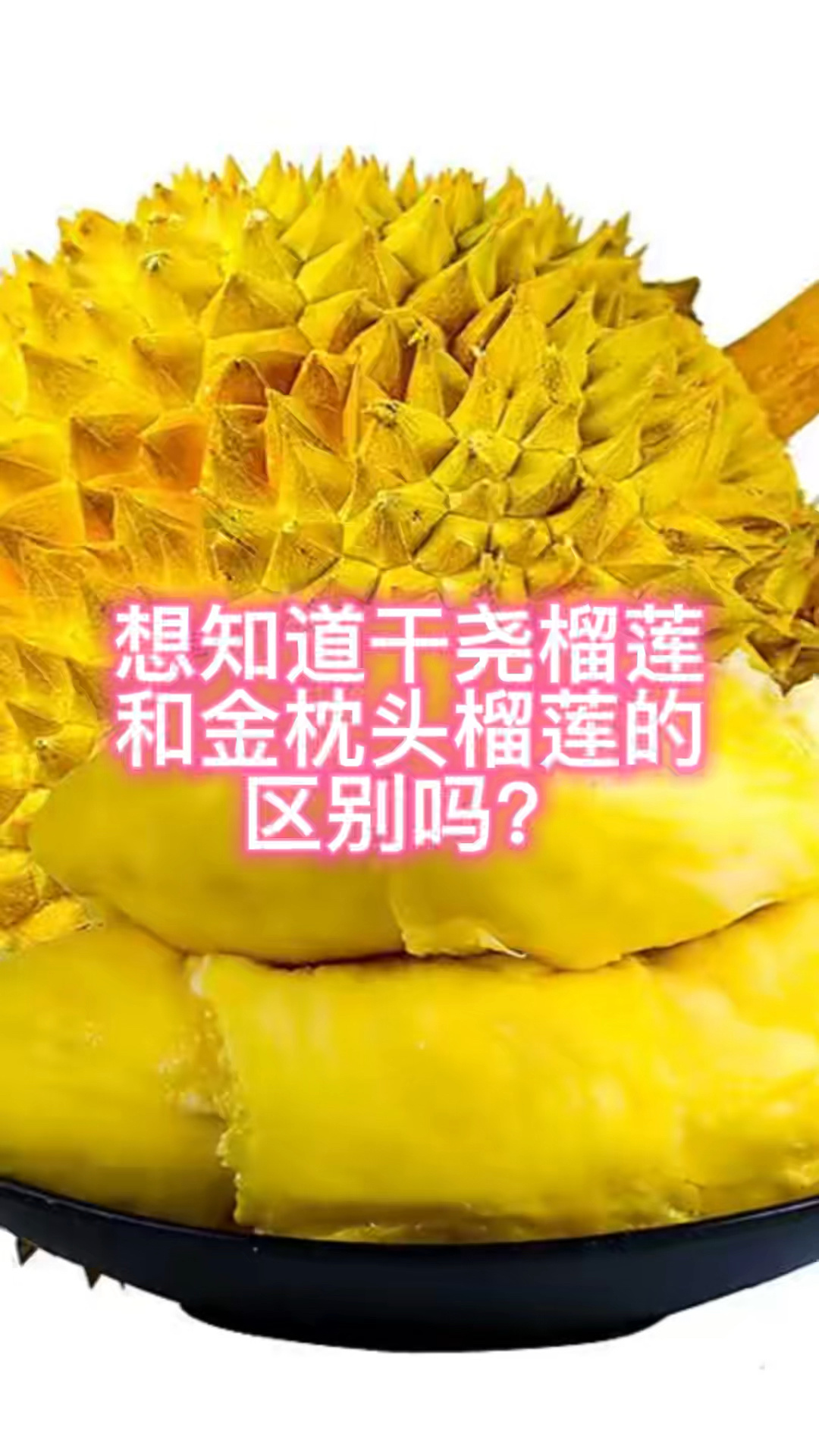 对比金枕头榴莲和干尧榴莲的区别
