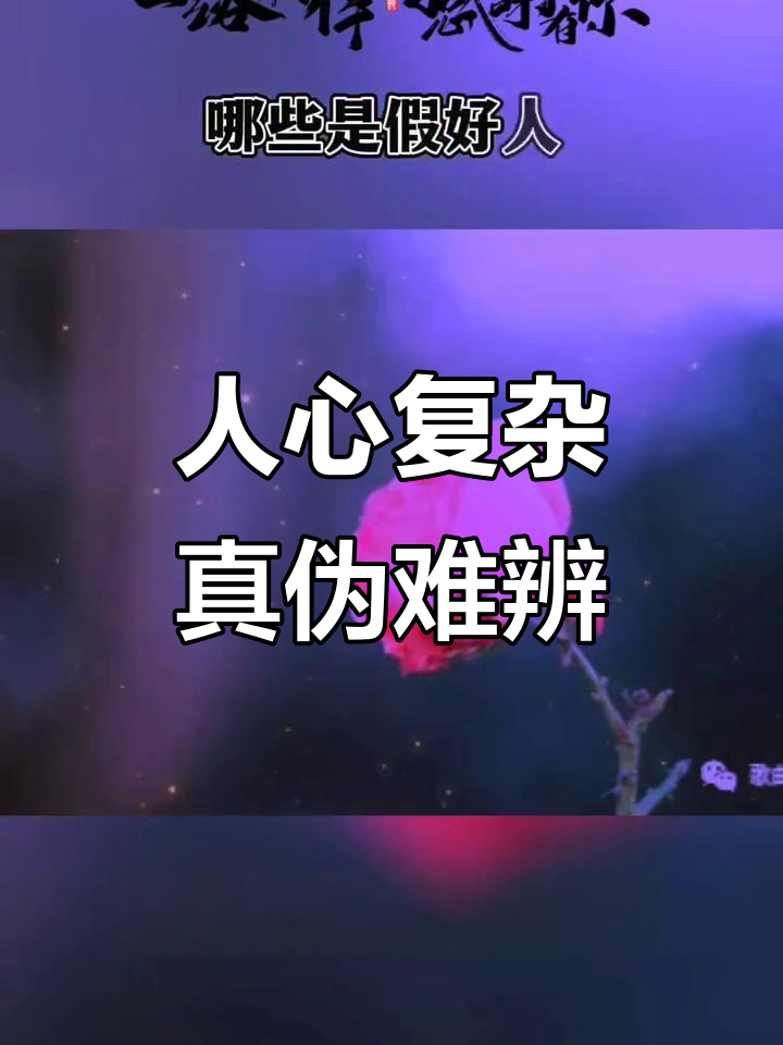 现实社会中的真假朋友,如何分辨真心与假意