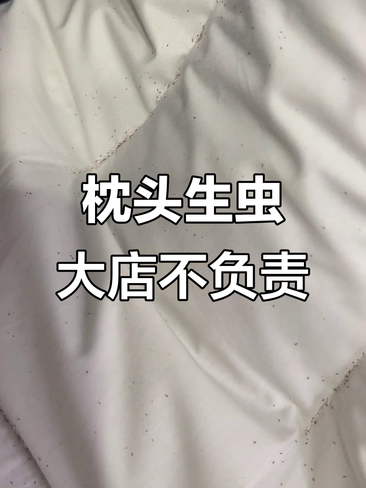 无印良品枕头生虫,售后无门
