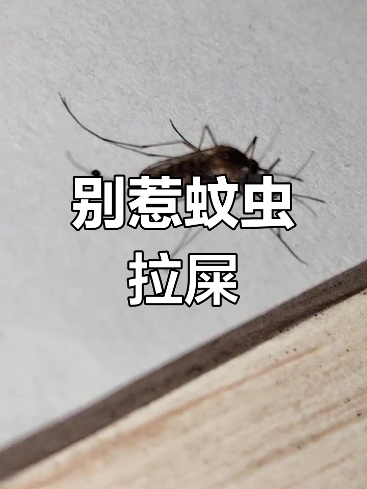 蚊子拉的"水"竟然这么厉害,小心别乱碰!