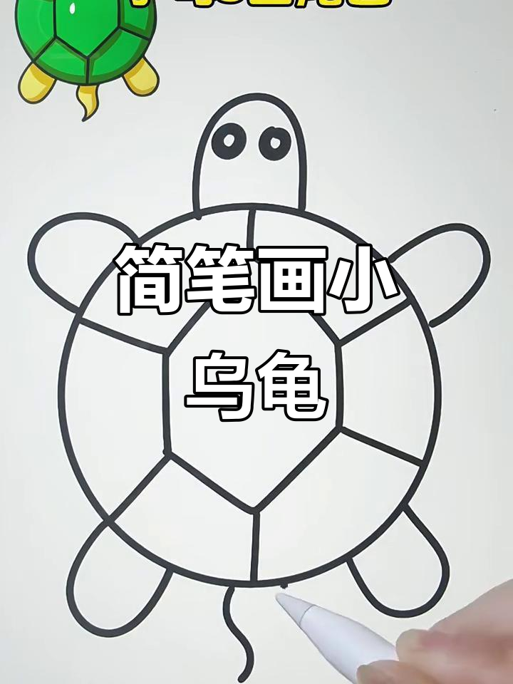 用圆形和线条轻松画可爱乌龟,简单又有趣