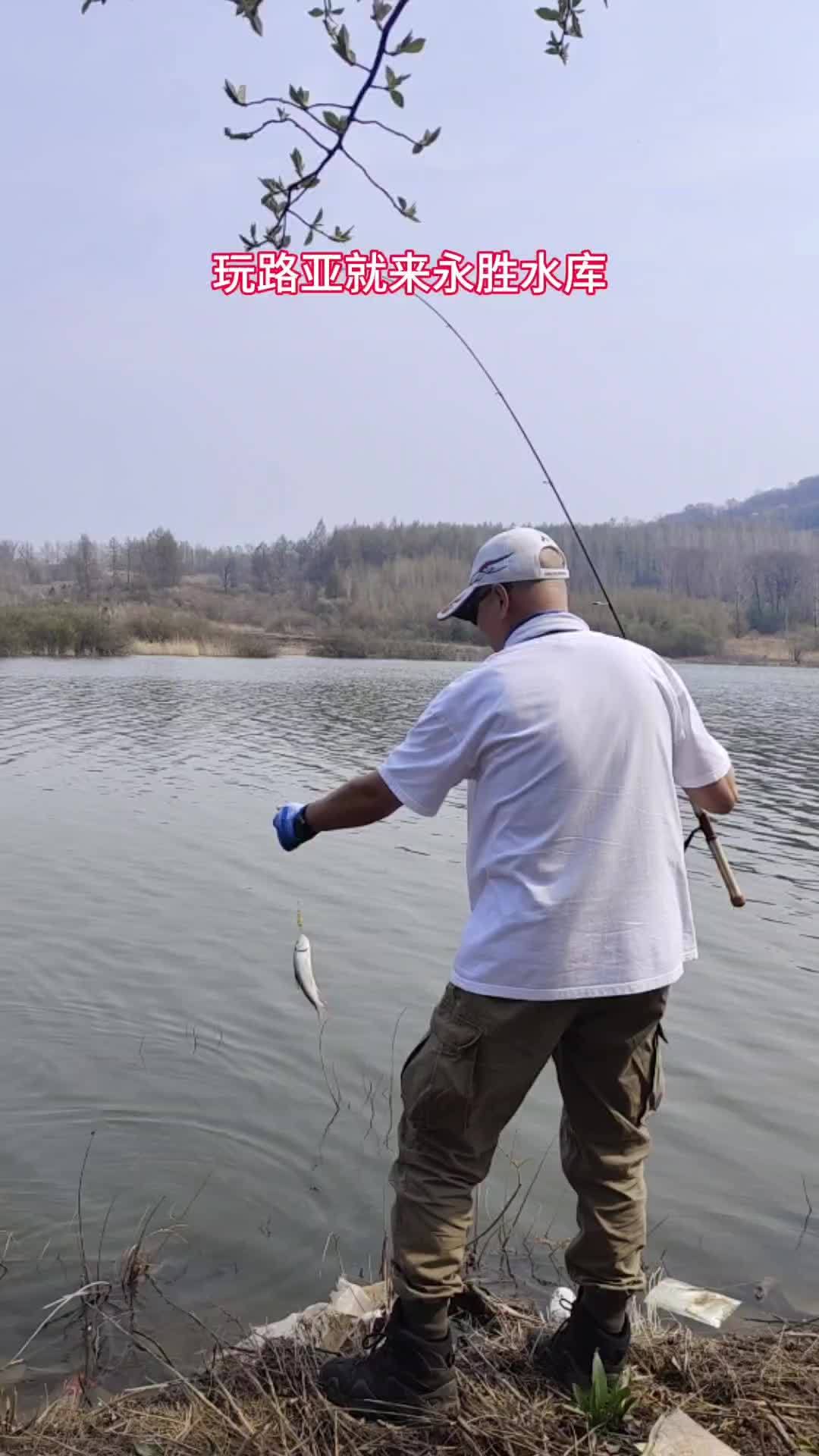 水库钓鱼 抖音垂钓季 路亚 露营 乡村守护人