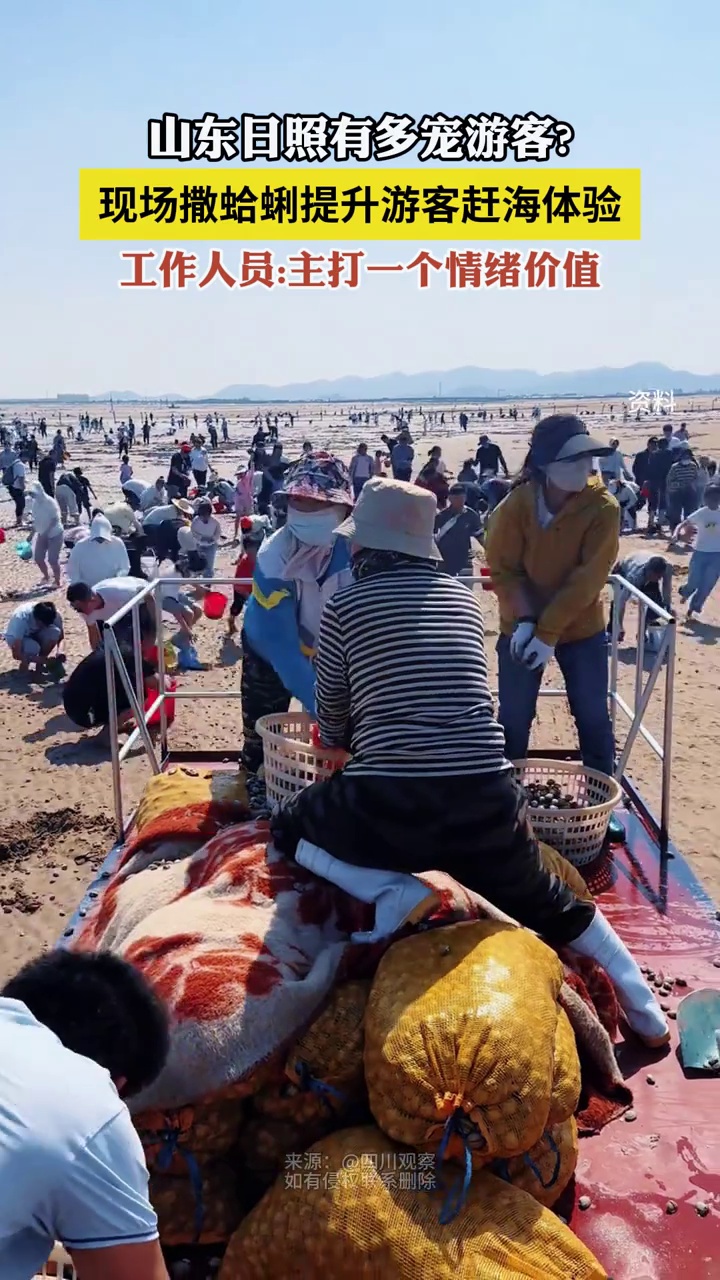 游客赶海被景区“投喂”蛤蜊，工作人员：主打一个情绪价值