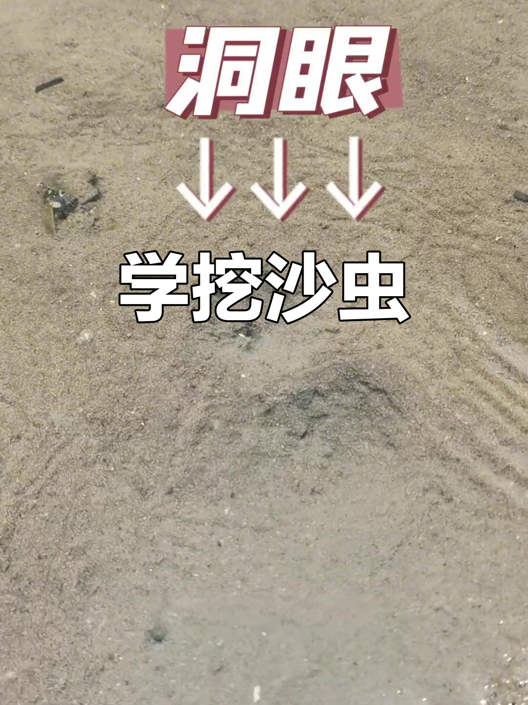 沙虫眼捕捉技巧大揭秘,快速上手!