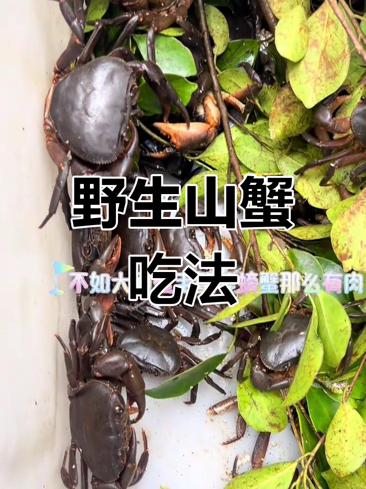 山螃蟹的独特美味与吃法