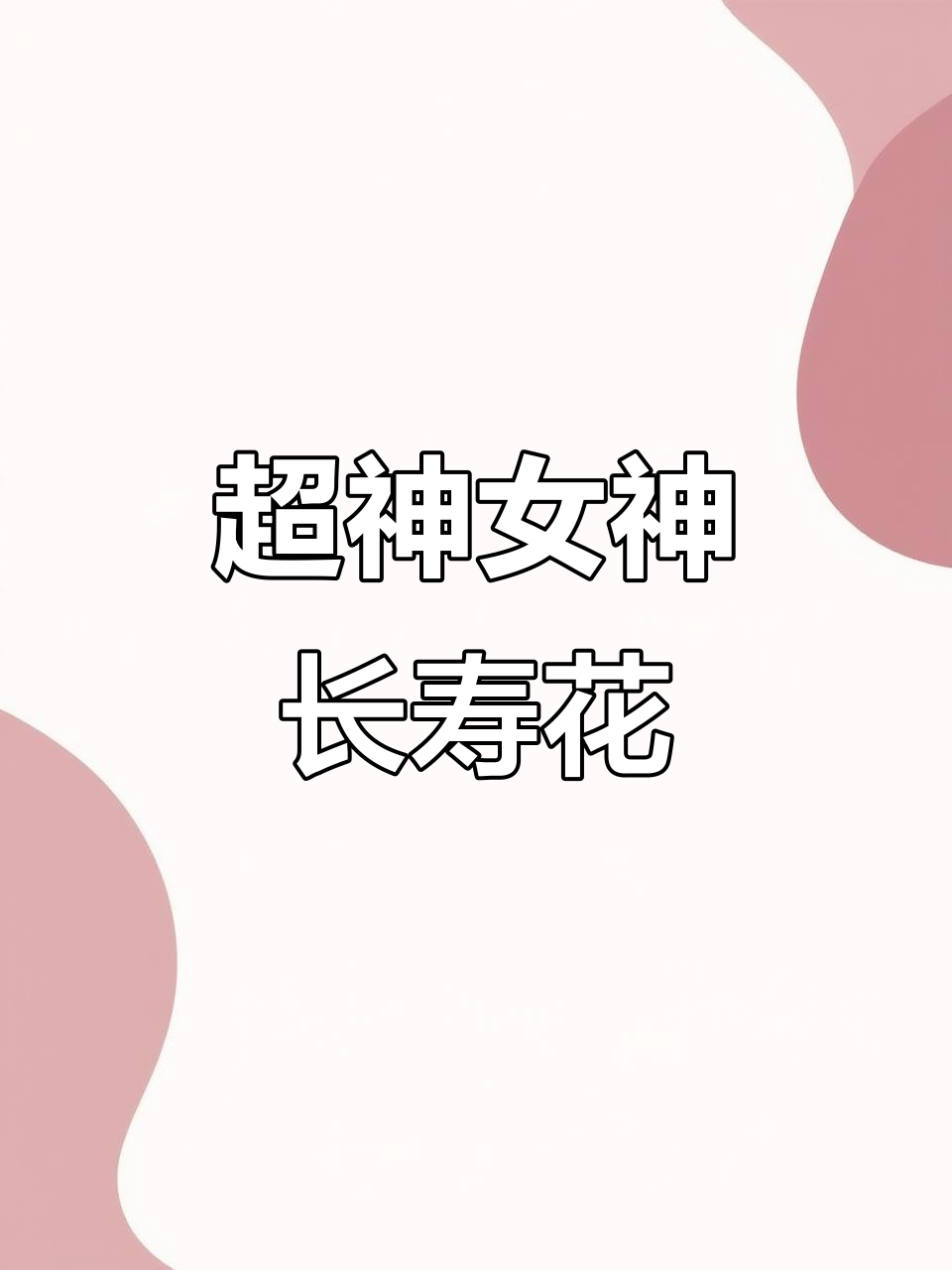 超级女神长寿花,花朵超大超美!