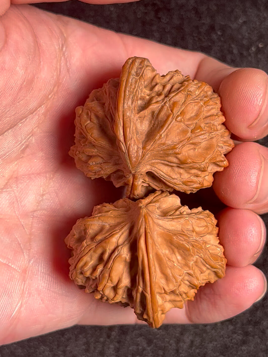磨盘狮子头异形半壁江山鹰嘴连体文玩核桃