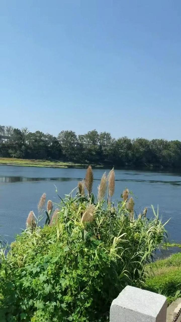 此处的浏阳河秀美如少女,千姿百态,风光旖旎