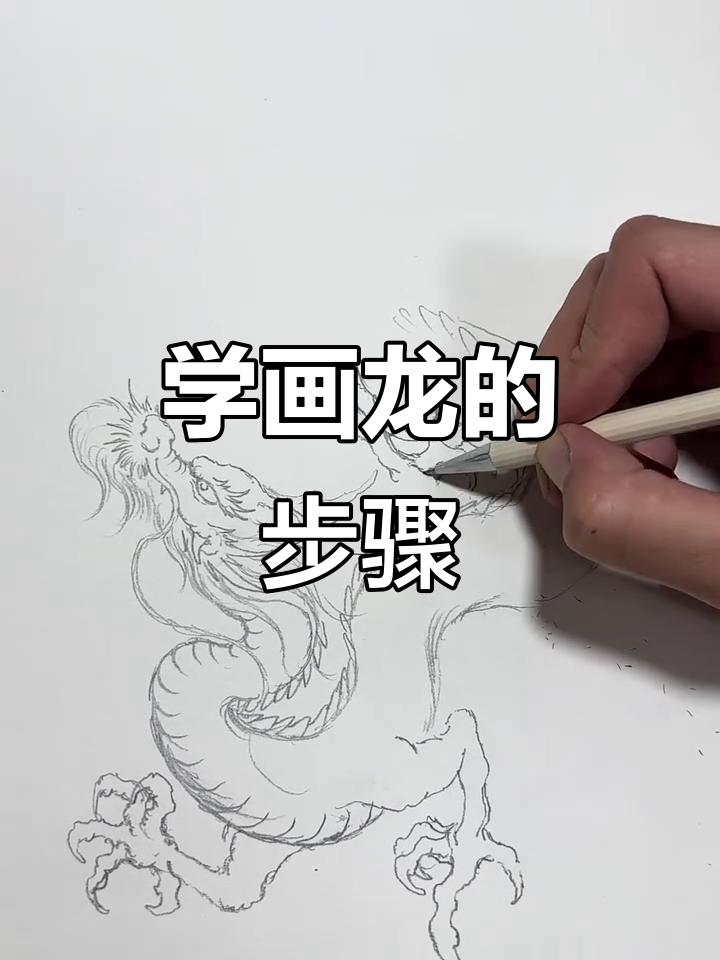 画龙技巧:从龙头到身体的比例与造型