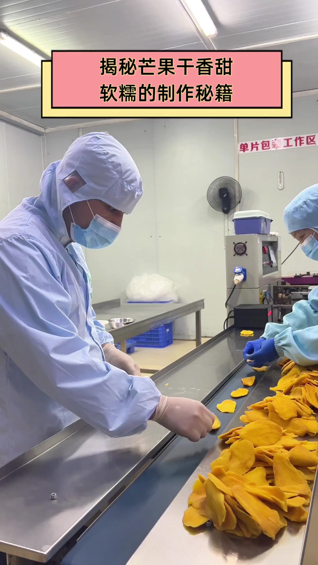 果脯加工行业:传统工艺与现代技术交织的新篇章