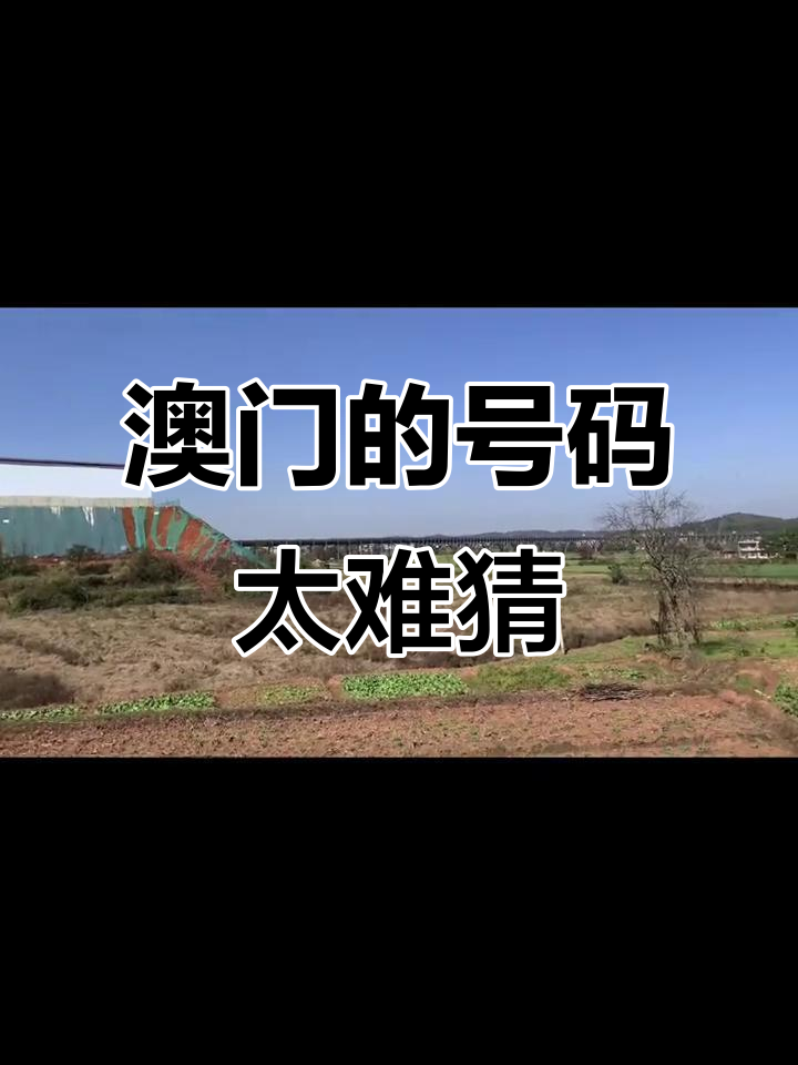 奥门一码一中每一期预测一特(奥门一码一中每一期预测一特泰) 奥门一码一中每一期预测一特(奥门一码一中每一期预测一特泰)