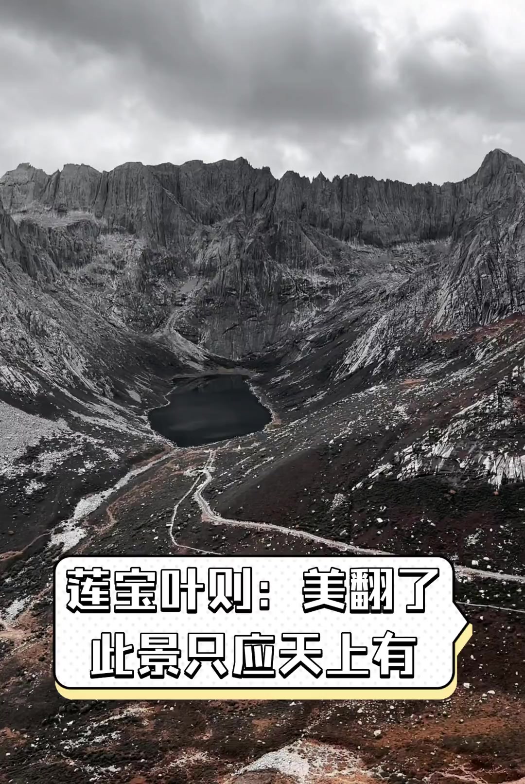 莲宝叶则:美翻了,此景只应天上有