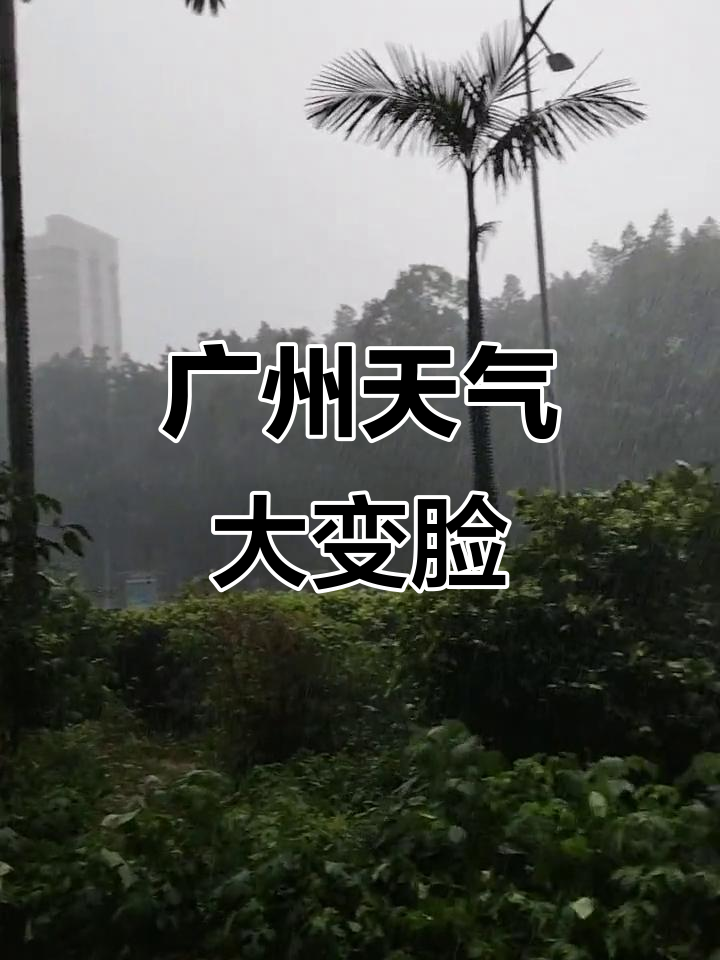 广州天气多变,早晨阳光转眼成雨,大家下午好!