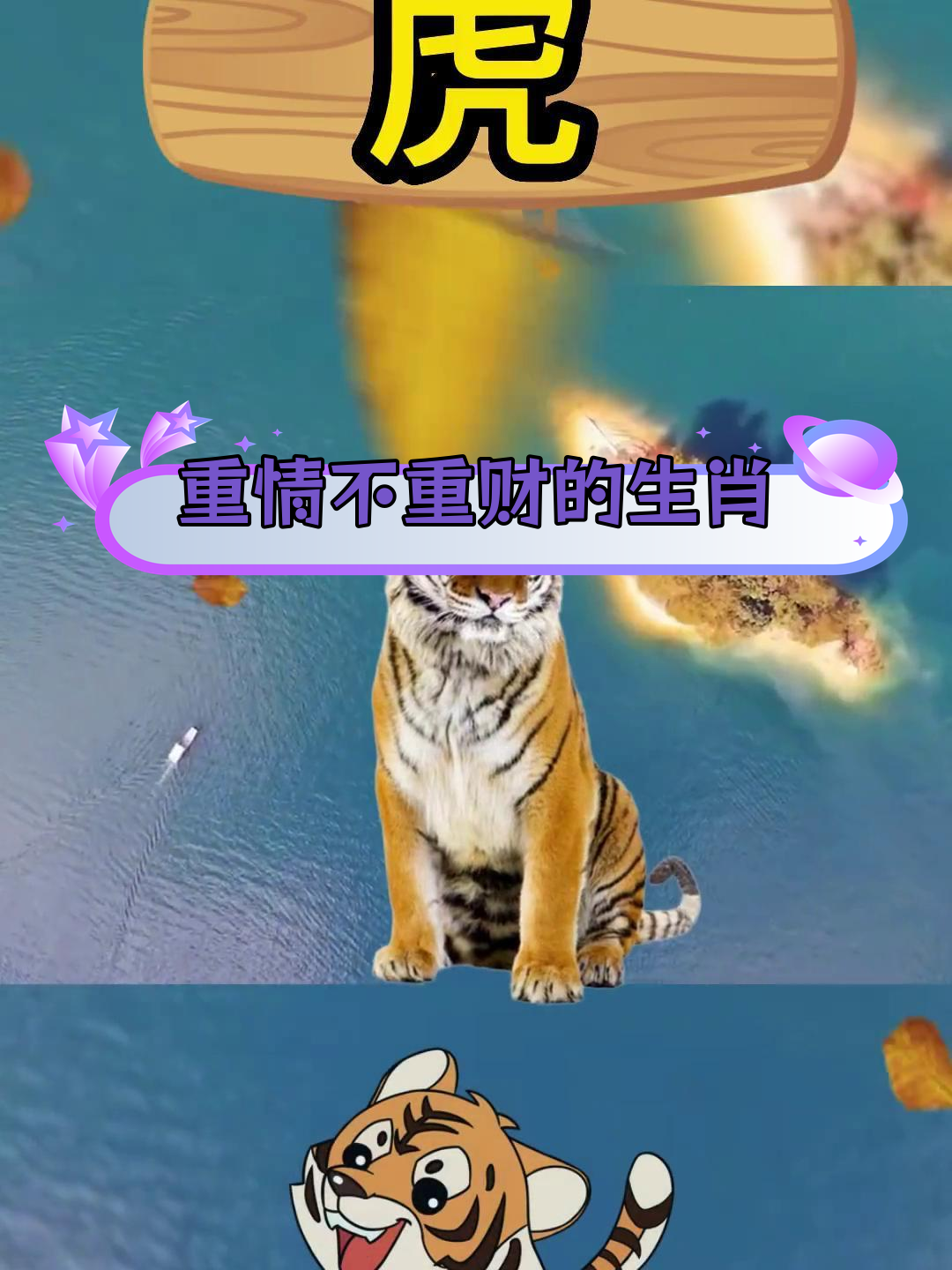 虎年属猪运势好的生肖女(虎年属猪运势2022年运势)
