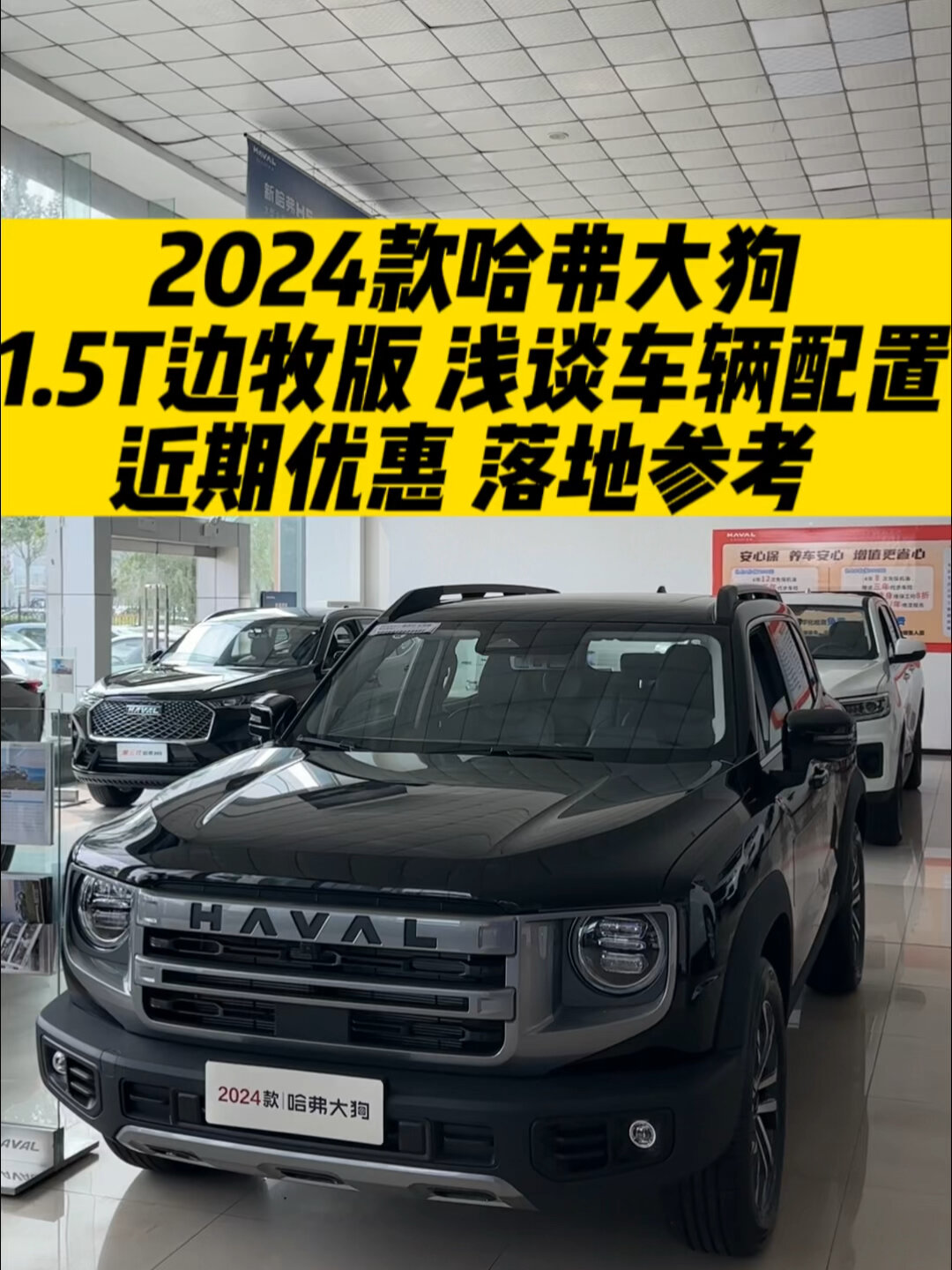 24款哈弗大狗 边牧版