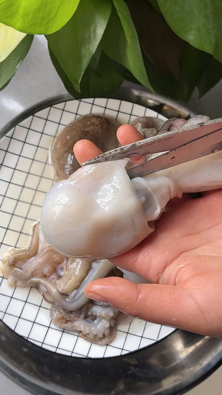 今天教大家如何正确清理八爪鱼-度小视
