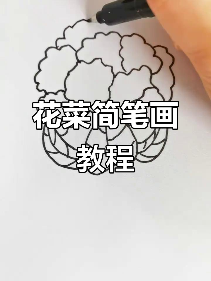 轻松学画花菜,简单步骤教你画出可爱纹理