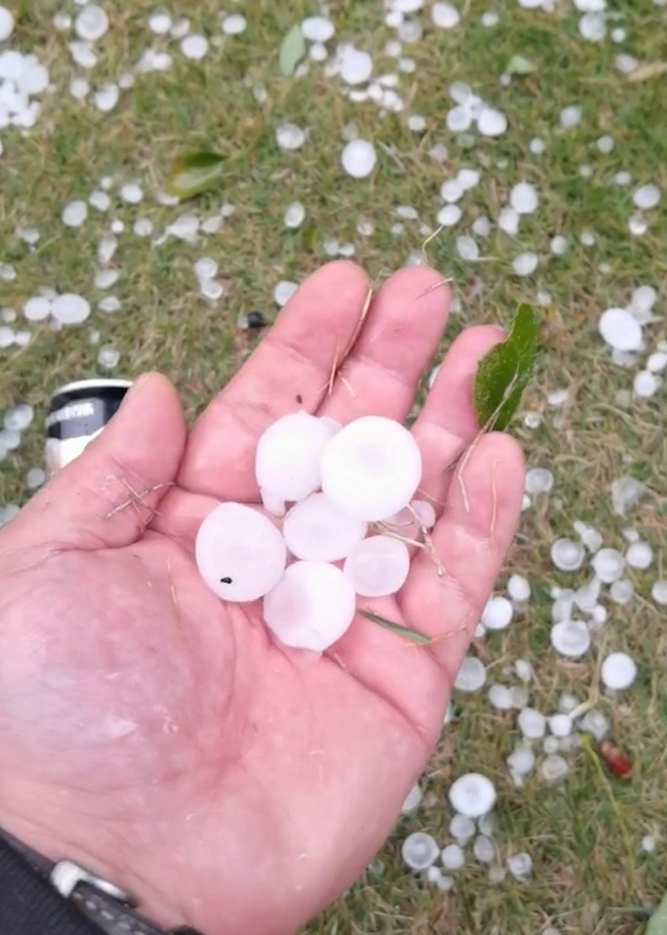 凌晨长沙下起了冰雹,市民:少见-度小视