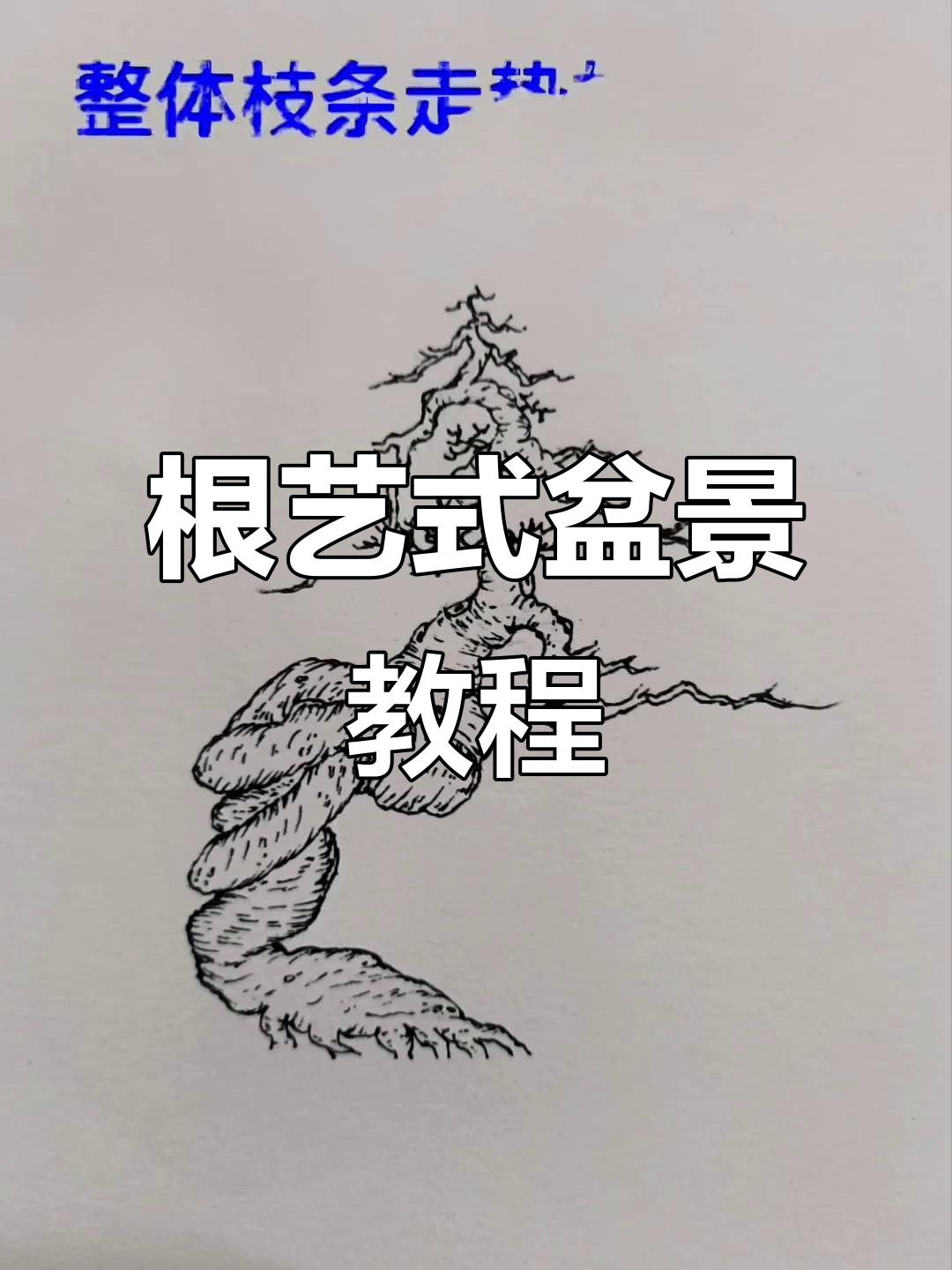 根艺式盆景制作全流程,简单步骤教你打造独特造型