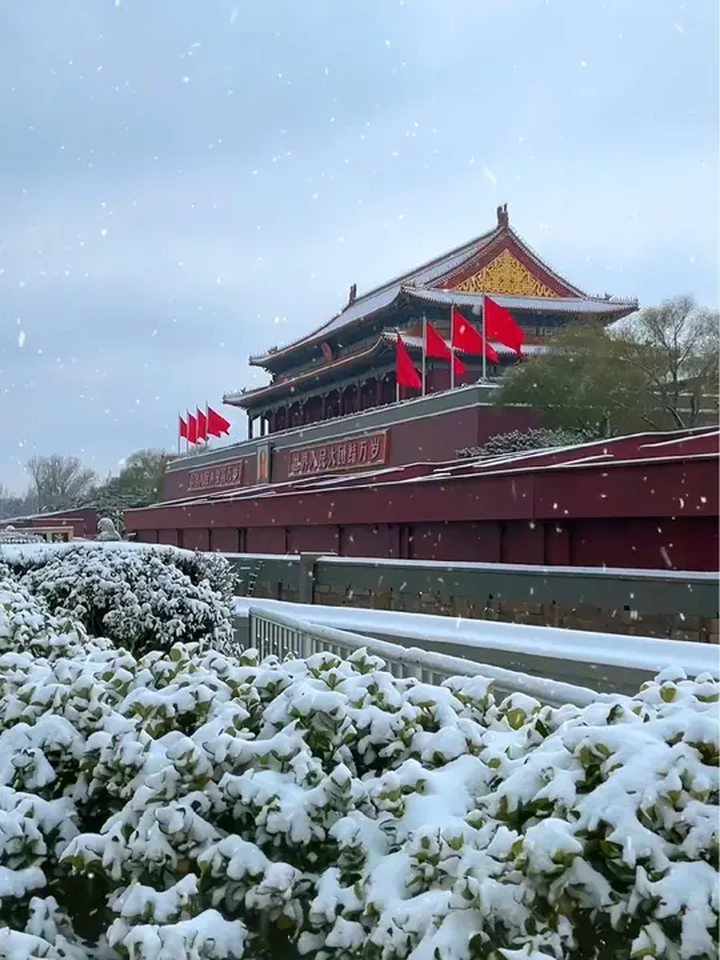 飘雪图片真实 风景图片