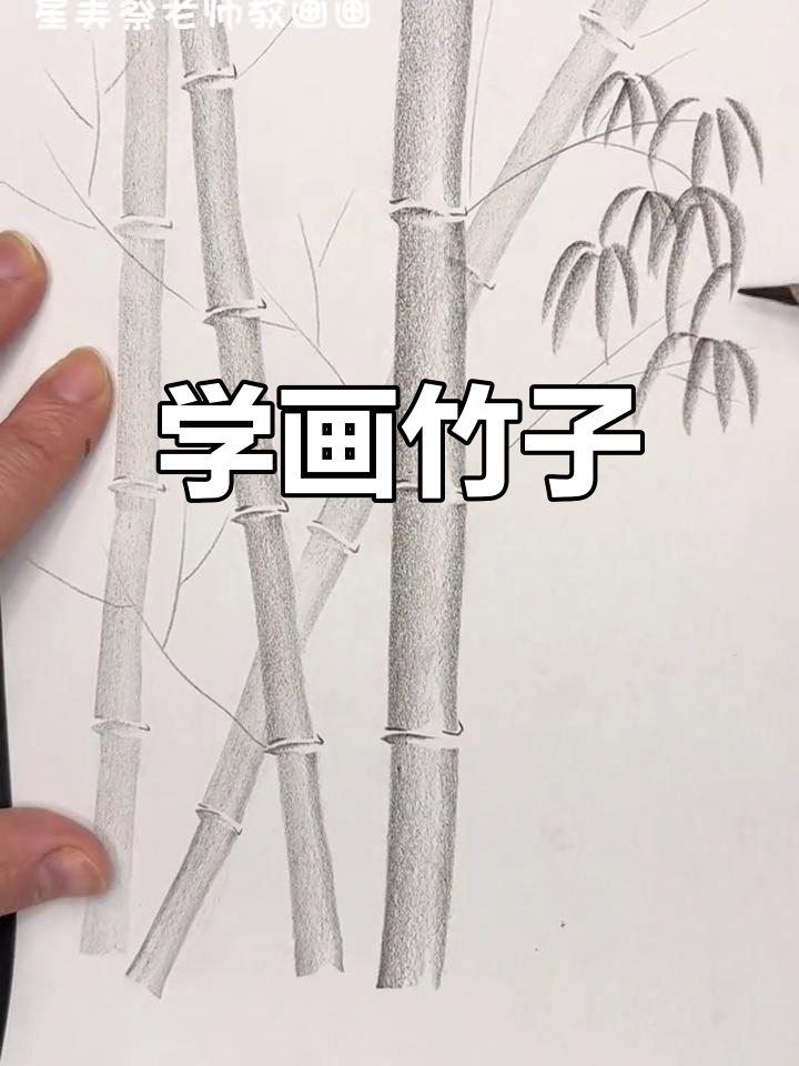 轻松学画竹子,炭笔素描教程