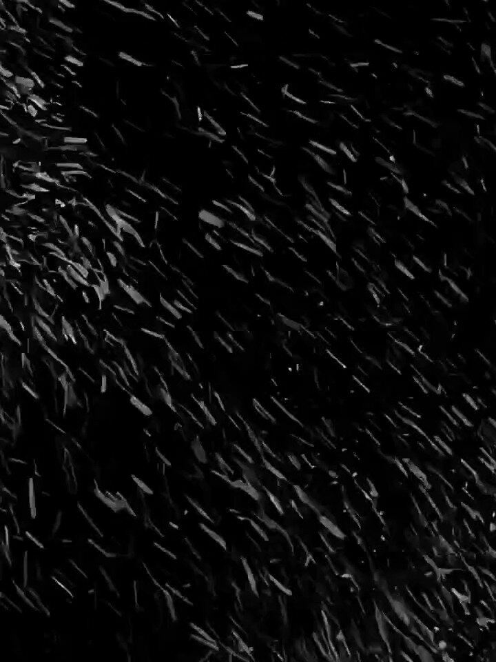 黑色背景下雪视频素材图片