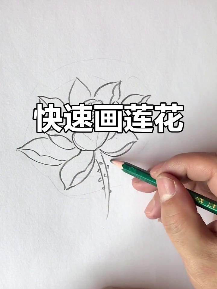 三分钟画莲花,虽不完美但请手下留情!