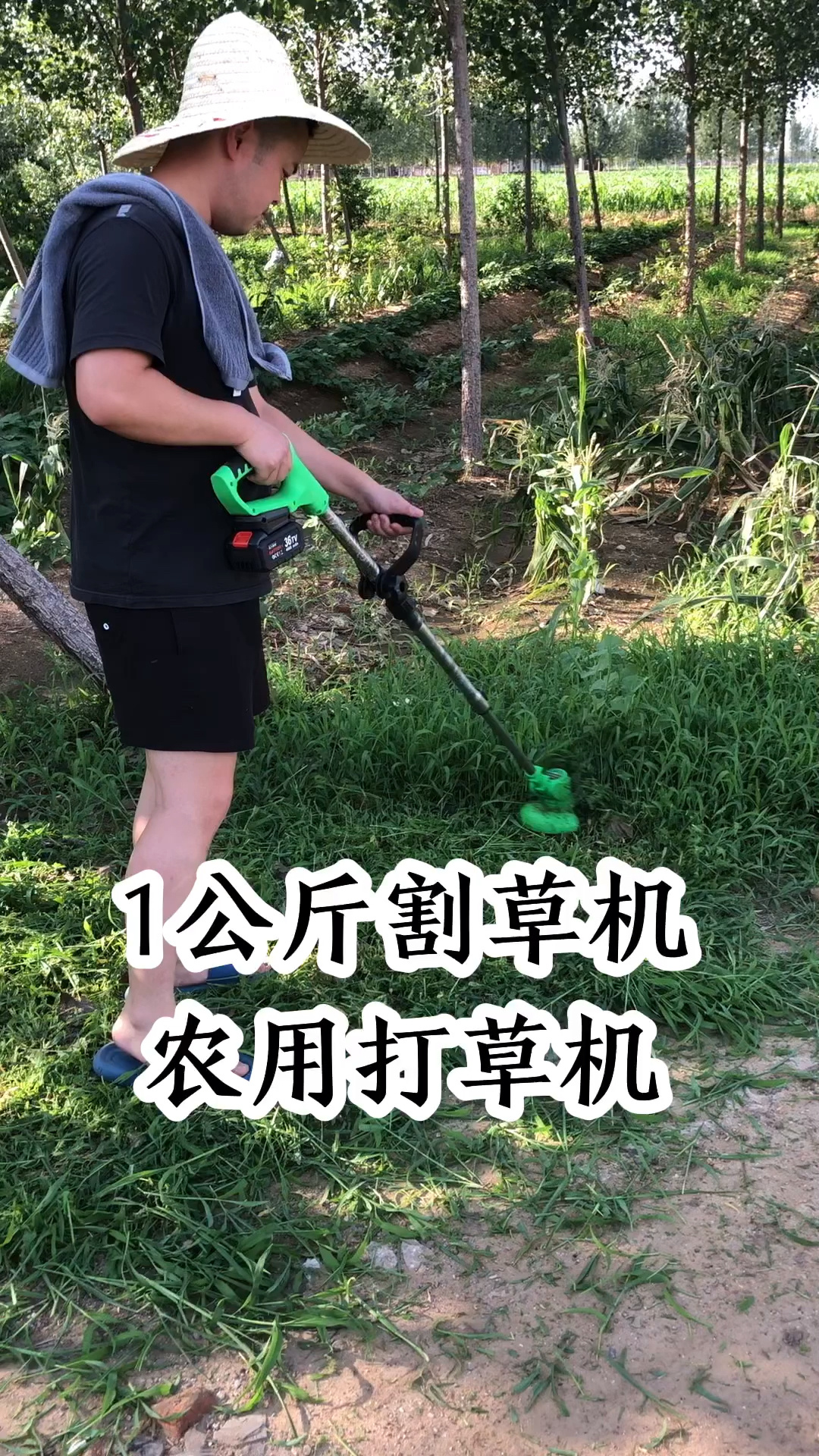 电动割草机小型家用除草机充电式草坪修剪机