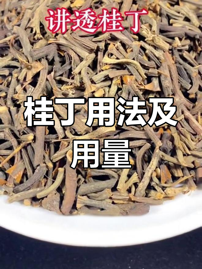 桂丁的功效与作用图片