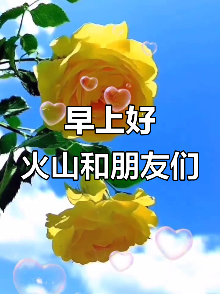 火山与灿友的早晨问候,兄弟姐妹们早安!