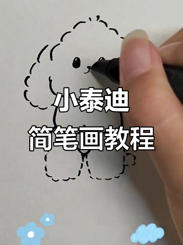 画出可爱小泰迪,简单步骤教你轻松上手