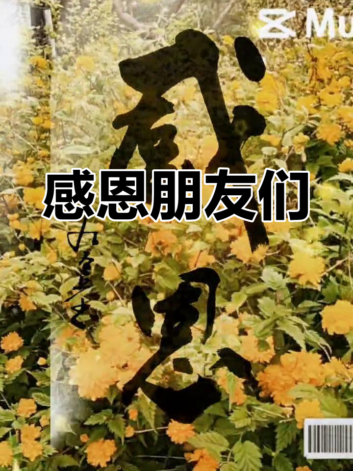 感谢所有支持我的朋友,有你们真好